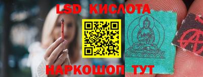 стафф Кандалакша